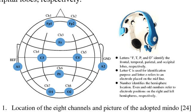 Figure 1 for PFML-based Semantic BCI Agent for Game of Go Learning and Prediction