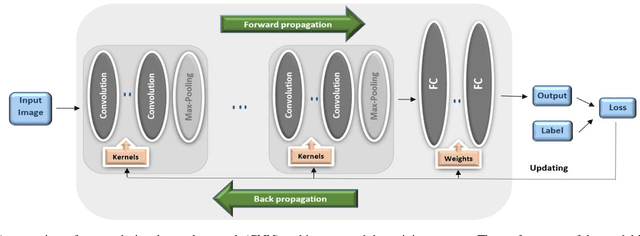 Figure 1 for Neurodevelopmental Age Estimation of Infants Using a 3D-Convolutional Neural Network Model based on Fusion MRI Sequences
