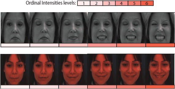 Figure 1 for Multi-Instance Dynamic Ordinal Random Fields for Weakly-supervised Facial Behavior Analysis