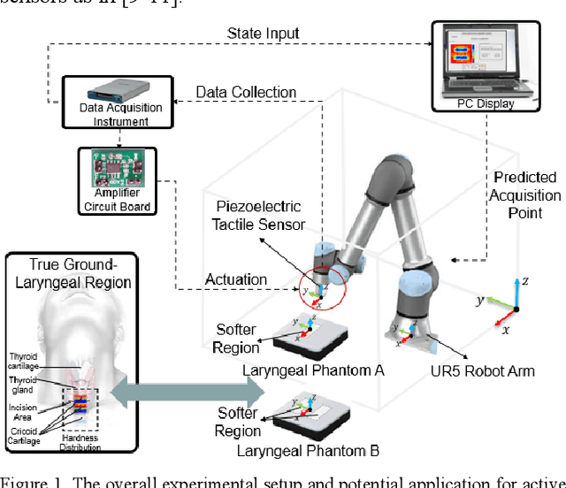Figure 1 for RASEC: Rescaling Acquisition Strategy with Energy Constraints under SE-OU Fusion Kernel for Active Trachea Palpation and Incision Recommendation in Laryngeal Region