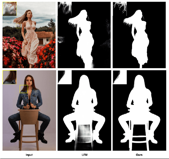 Figure 1 for Salient Image Matting