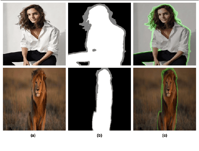 Figure 3 for Salient Image Matting