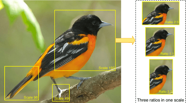 Figure 3 for Learning to Navigate for Fine-grained Classification