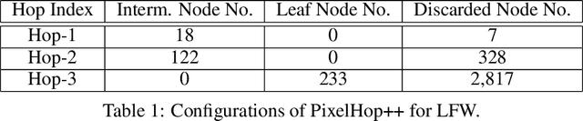 Figure 2 for FaceHop: A Light-Weight Low-Resolution Face Gender Classification Method