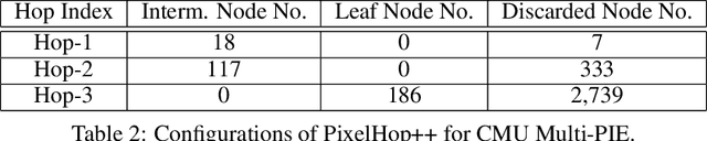 Figure 4 for FaceHop: A Light-Weight Low-Resolution Face Gender Classification Method