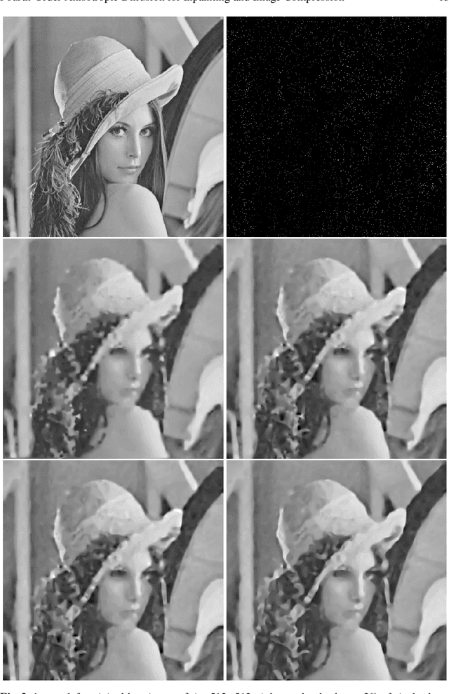 Figure 4 for Fourth-Order Anisotropic Diffusion for Inpainting and Image Compression