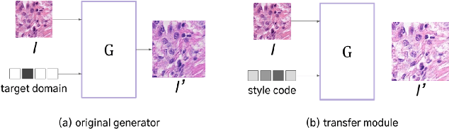 Figure 2 for Domain-Robust Mitotic Figure Detection with Style Transfer