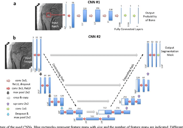 Figure 2 for Segmentation of the Proximal Femur from MR Images using Deep Convolutional Neural Networks
