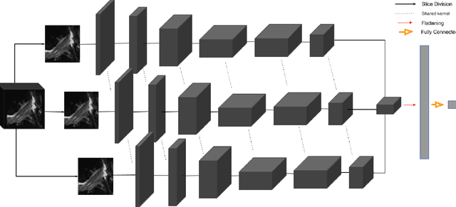 Figure 4 for Hierarchical Severity Staging of Anterior Cruciate Ligament Injuries using Deep Learning with MRI Images