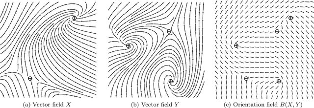 Figure 2 for A bisector line field approach to interpolation of orientation fields