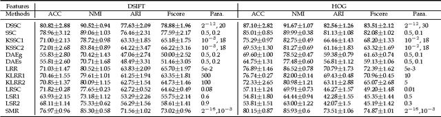 Figure 2 for Deep Sparse Subspace Clustering