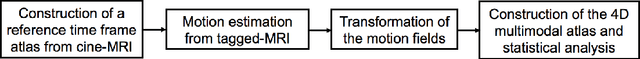 Figure 3 for Speech Map: A Statistical Multimodal Atlas of 4D Tongue Motion During Speech from Tagged and Cine MR Images