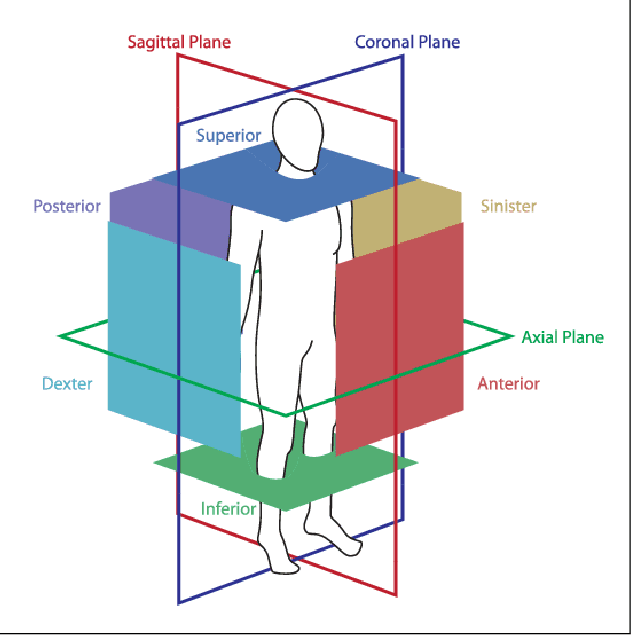 Figure 2 for 3D Bounding Box Detection in Volumetric Medical Image Data: A Systematic Literature Review