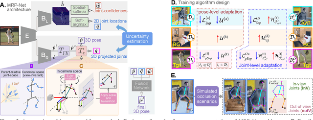 Figure 3 for Uncertainty-Aware Adaptation for Self-Supervised 3D Human Pose Estimation