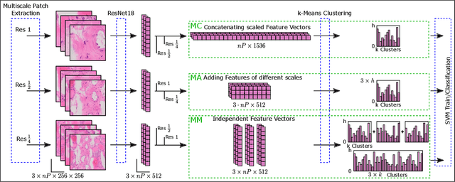 Figure 2 for Evaluation of Multi-Scale Multiple Instance Learning to Improve Thyroid Cancer Classification