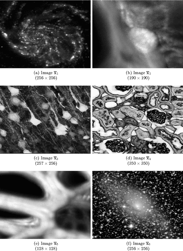 Figure 2 for A Variational Bayesian Approach for Image Restoration. Application to Image Deblurring with Poisson-Gaussian Noise