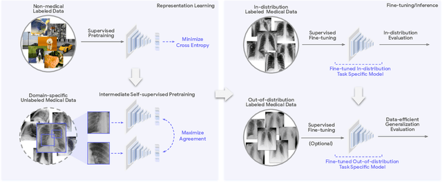 Figure 1 for Robust and Efficient Medical Imaging with Self-Supervision