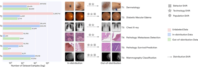 Figure 3 for Robust and Efficient Medical Imaging with Self-Supervision