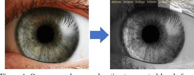 Figure 1 for Towards Spectral Estimation from a Single RGB Image in the Wild