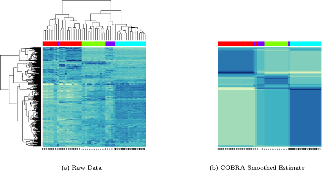 Figure 1 for Convex Biclustering