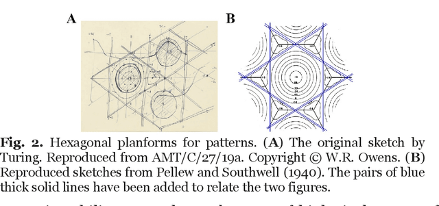 Figure 2 for Turing's cascade instability supports the coordination of the mind, brain, and behavior