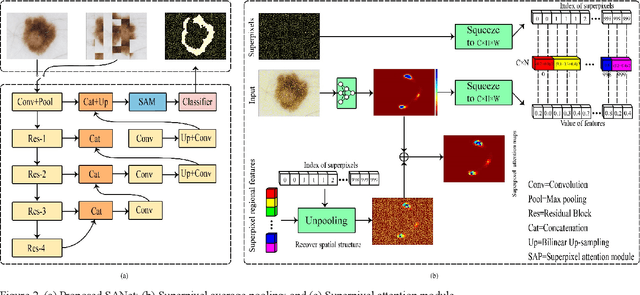 Figure 3 for SANet:Superpixel Attention Network for Skin Lesion Attributes Detection