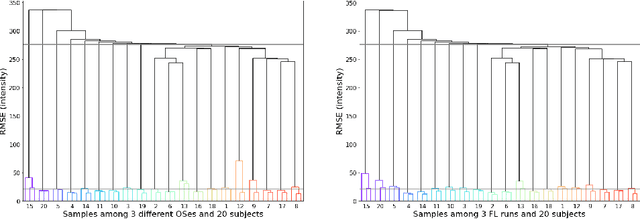 Figure 3 for Accurate simulation of operating system updates in neuroimaging using Monte-Carlo arithmetic