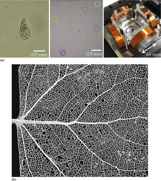 Figure 1 for Particle Computation: Complexity, Algorithms, and Logic