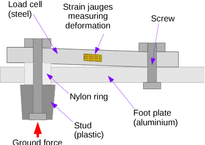 Figure 1 for Rhoban Football Club: RoboCup Humanoid KidSize 2019 Champion Team Paper