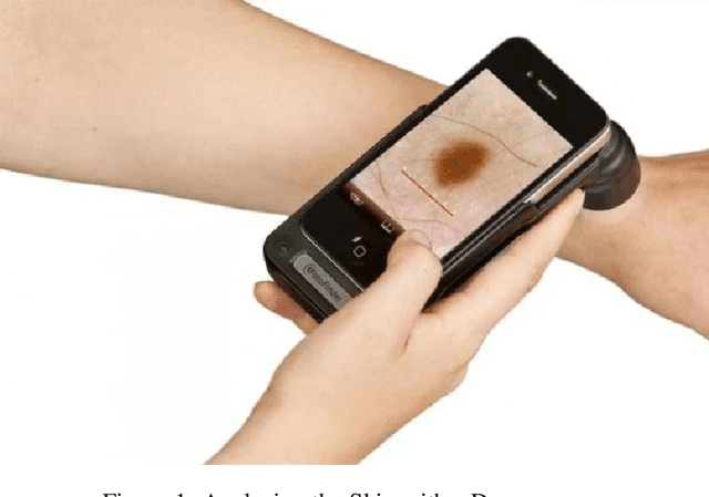 Figure 1 for Skin disease diagnosis using image analysis and natural language processing