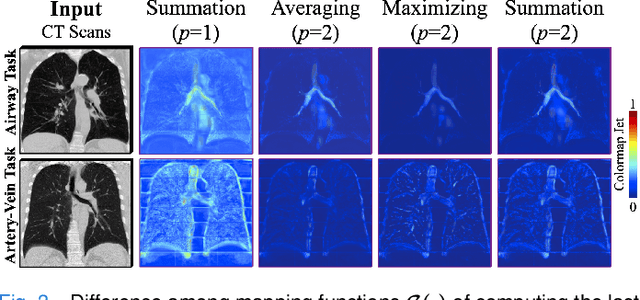 Figure 3 for Learning Tubule-Sensitive CNNs for Pulmonary Airway and Artery-Vein Segmentation in CT