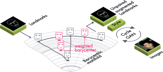 Figure 1 for Data Augmentation with Manifold Barycenters