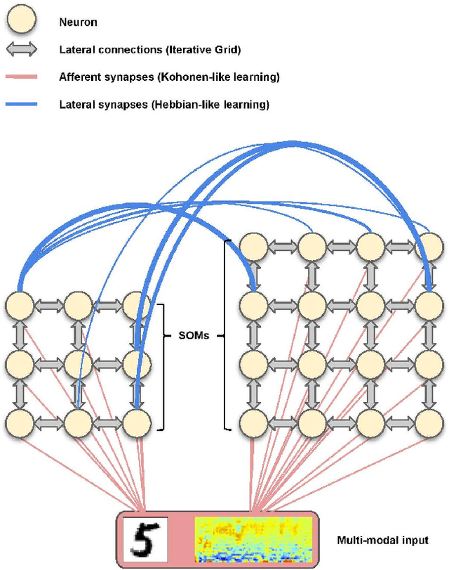 Figure 4 for Brain-inspired self-organization with cellular neuromorphic computing for multimodal unsupervised learning