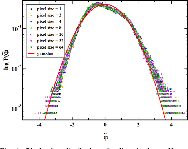 Figure 1 for On scale-invariant properties in natural images and their simulations