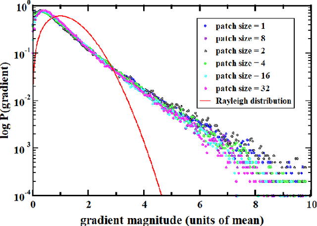 Figure 2 for On scale-invariant properties in natural images and their simulations