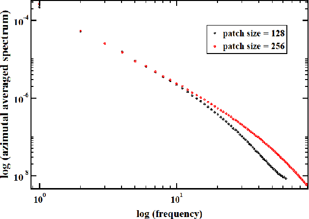 Figure 4 for On scale-invariant properties in natural images and their simulations