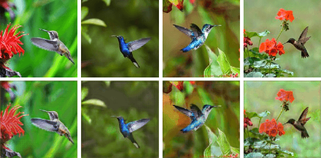 Figure 3 for A Theory of Generative ConvNet