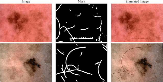 Figure 3 for Realistic Hair Simulation Using Image Blending