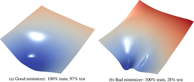 Figure 4 for Understanding Generalization through Visualizations