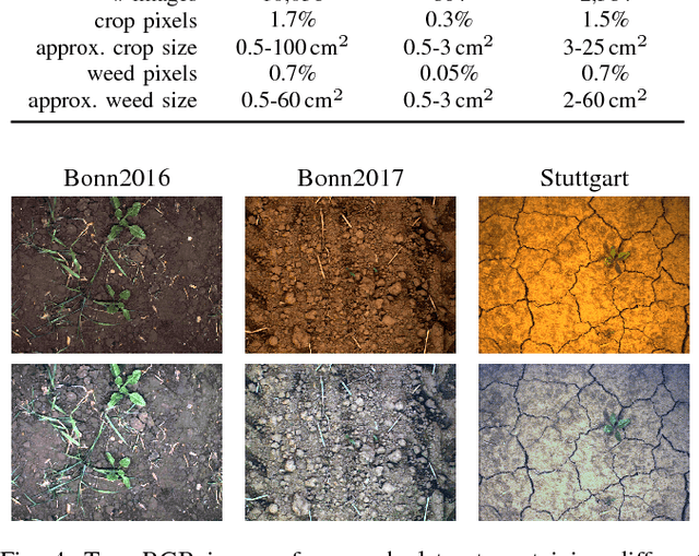 Figure 4 for Fully Convolutional Networks with Sequential Information for Robust Crop and Weed Detection in Precision Farming