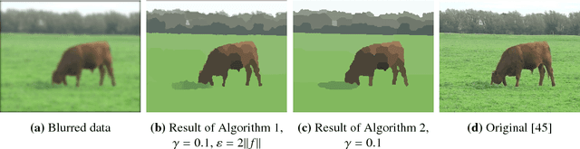 Figure 1 for Iterative Potts minimization for the recovery of signals with discontinuities from indirect measurements -- the multivariate case
