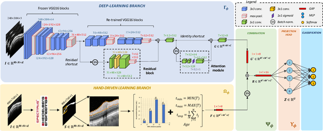 Figure 3 for Circumpapillary OCT-Focused Hybrid Learning for Glaucoma Grading Using Tailored Prototypical Neural Networks