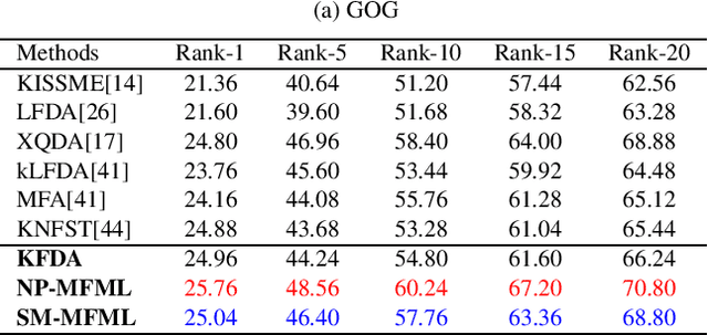Figure 2 for Multiple Kernel Fisher Discriminant Metric Learning for Person Re-identification