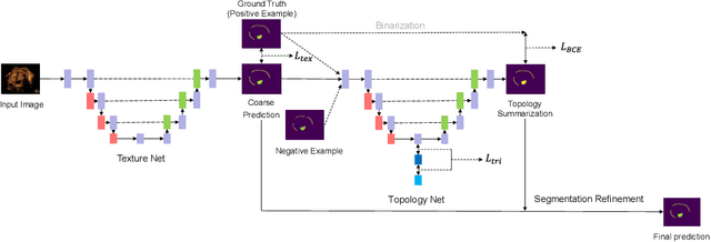 Figure 3 for DTU-Net: Learning Topological Similarity for Curvilinear Structure Segmentation
