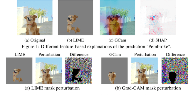 Figure 1 for Evaluating Explainers via Perturbation
