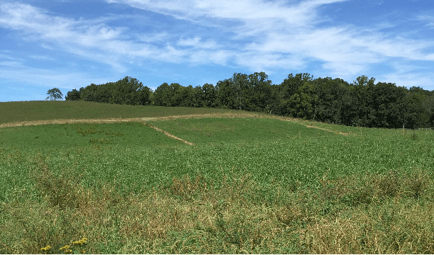 Figure 1 for Monitoring Over the Long Term: Intermittent Deployment and Sensing Strategies for Multi-Robot Teams