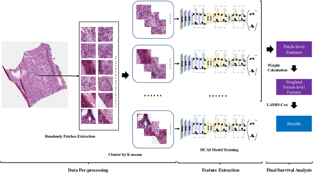 Figure 1 for EOCSA: Predicting Prognosis of Epithelial Ovarian Cancer with Whole Slide Histopathological Images