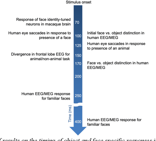 Figure 1 for Neural Correlates of Face Familiarity Perception