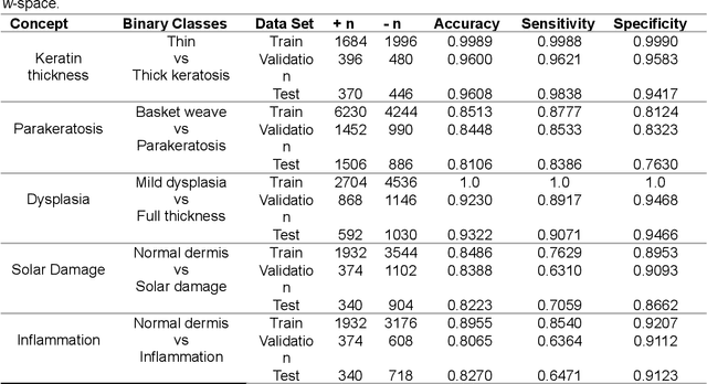 Figure 2 for Towards Highly Expressive Machine Learning Models of Non-Melanoma Skin Cancer