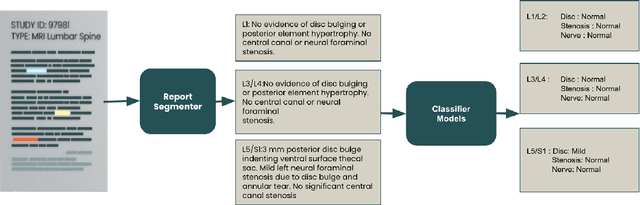 Figure 1 for Explaining the Effectiveness of Multi-Task Learning for Efficient Knowledge Extraction from Spine MRI Reports